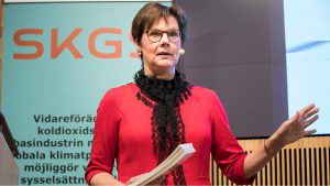 Anna Holmberg, energidirektör Skogsindustrierna